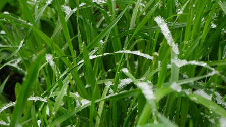 Similar image 21188248