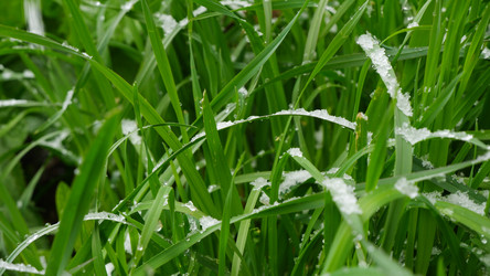 Similar image 21188249