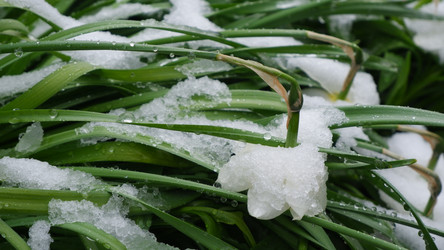 Similar image 21188251