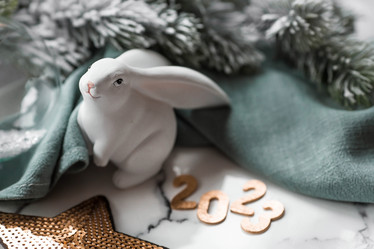 Similar image 21173325