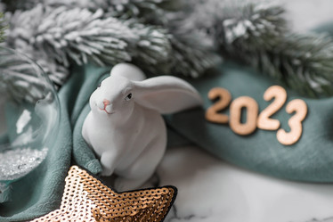 Similar image 21170768