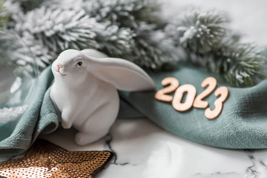 Similar image 21173327