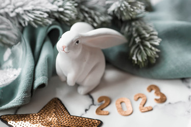 Similar image 21170769