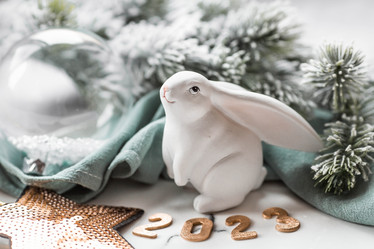 Similar image 21170774