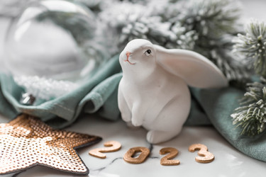 Similar image 21170775