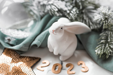 Similar image 21179230