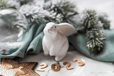 Similar image 21170778