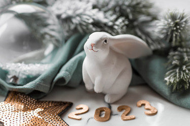 Similar image 21170780