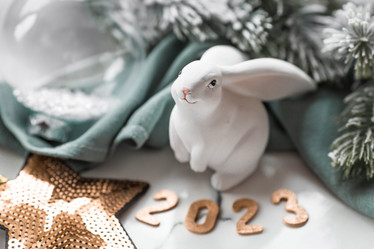 Similar image 21173330