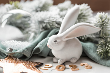 Similar image 21170782