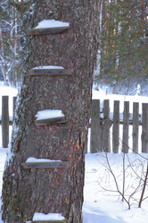 Similar image 21188282