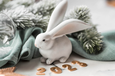 Similar image 21179709