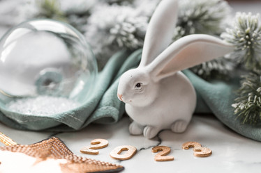 Similar image 21179710