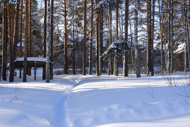 Similar image 21174842