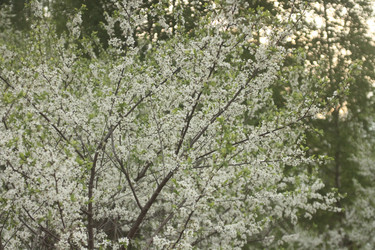 Similar image 21174844