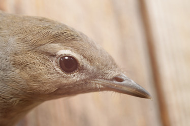 Similar image 21181871