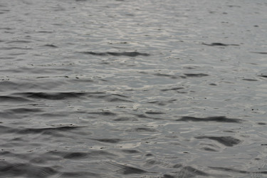 Similar image 21181875