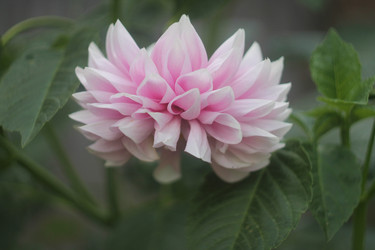 Similar image 21188288