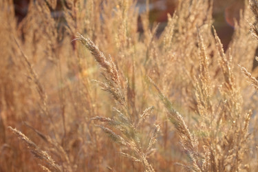 Similar image 21188290