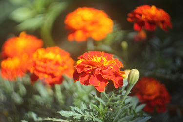 Similar image 21188291