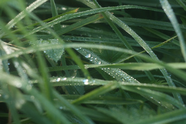 Similar image 21188293