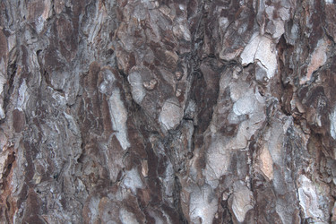 Similar image 21188300