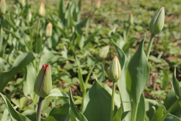 Similar image 21188304