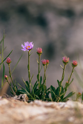 Similar image 21188952