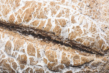 Similar image 21188965