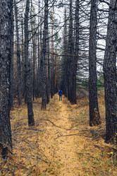 Similar image 21188980