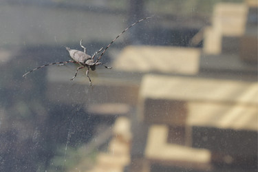 Similar image 21188312