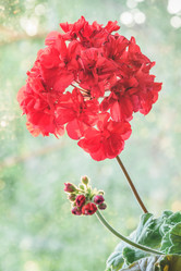 Similar image 21189009