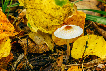 Similar image 21189019