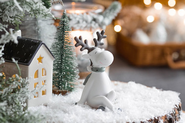 Similar image 21170819