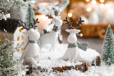 Similar image 21170822