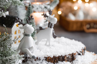 Similar image 21173341