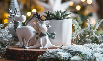 Similar image 21170825