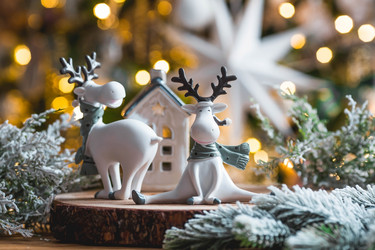 Similar image 21173620