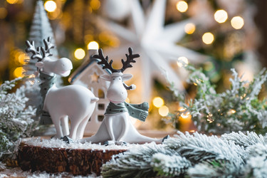 Similar image 21170826