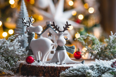 Similar image 21173702