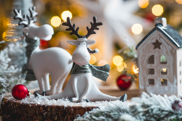 Similar image 21178493