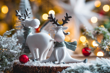 Similar image 21170827