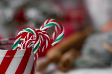 Similar image 21167642