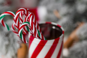 Similar image 21170844