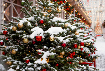 Similar image 21167666