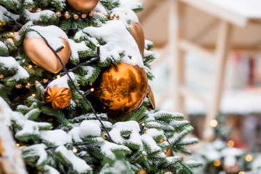 Similar image 21167675