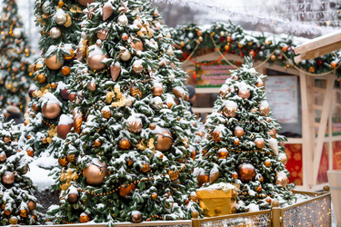 Similar image 21167676