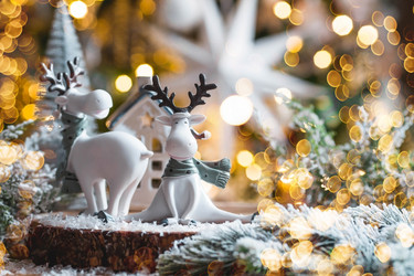 Similar image 21167681