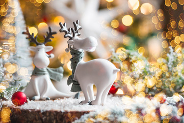 Similar image 21167159