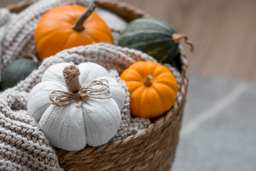 Similar image 21173628